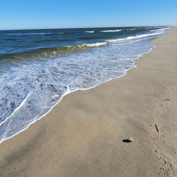 Meet your Posher, Stan - Picture 12 of 12